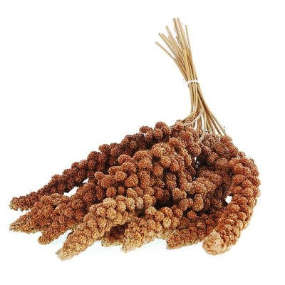 Apetit Senegálske proso v klasoch-červené 100g (20ks kar.)