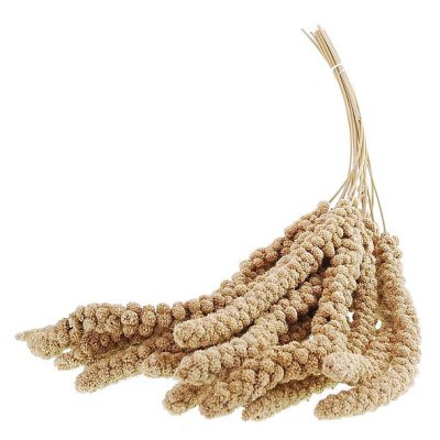Apetit Senegálske proso v klasoch-žltej 100g (20ks kar.)