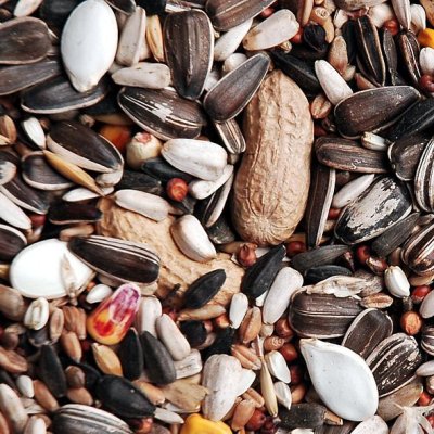 Apetit Veľký papagáj - základná kŕmna zmes 800g (6ks/bal.) - VP DETAIL.jpg