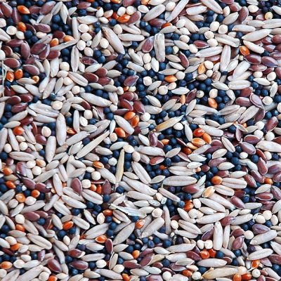 Apetit Lesné spevavé vtáctvo 800g (6ks/bal.) - LESNÍ ZPĚVNÉ PTACTVO DETAILjpg.jpg