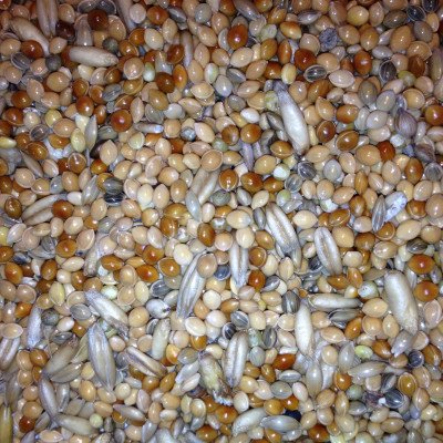 AVEST Andulka 04 - 20kg (32ks/paleta)