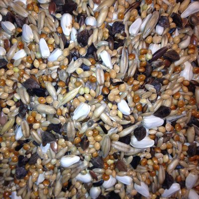 AVEST Agapornis 12 - 20kg (32ks/paleta)