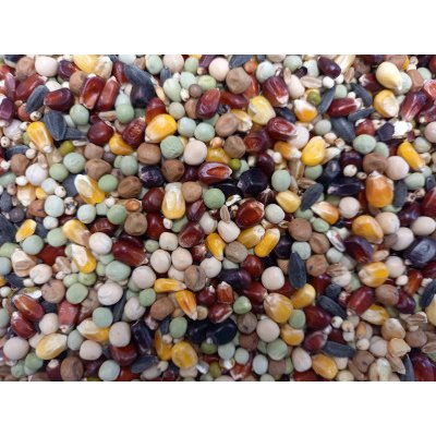 AVEST Holub H4 - 25kg (32ks/paleta)