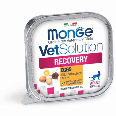 MONGE VET Cat  Recovery - imunita  100g/24ks