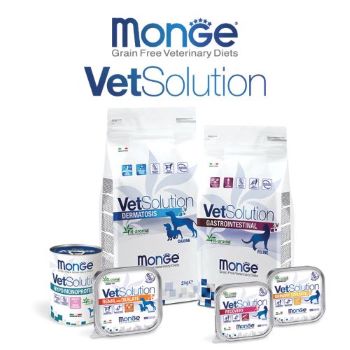 vetsolutionmonge.jpg